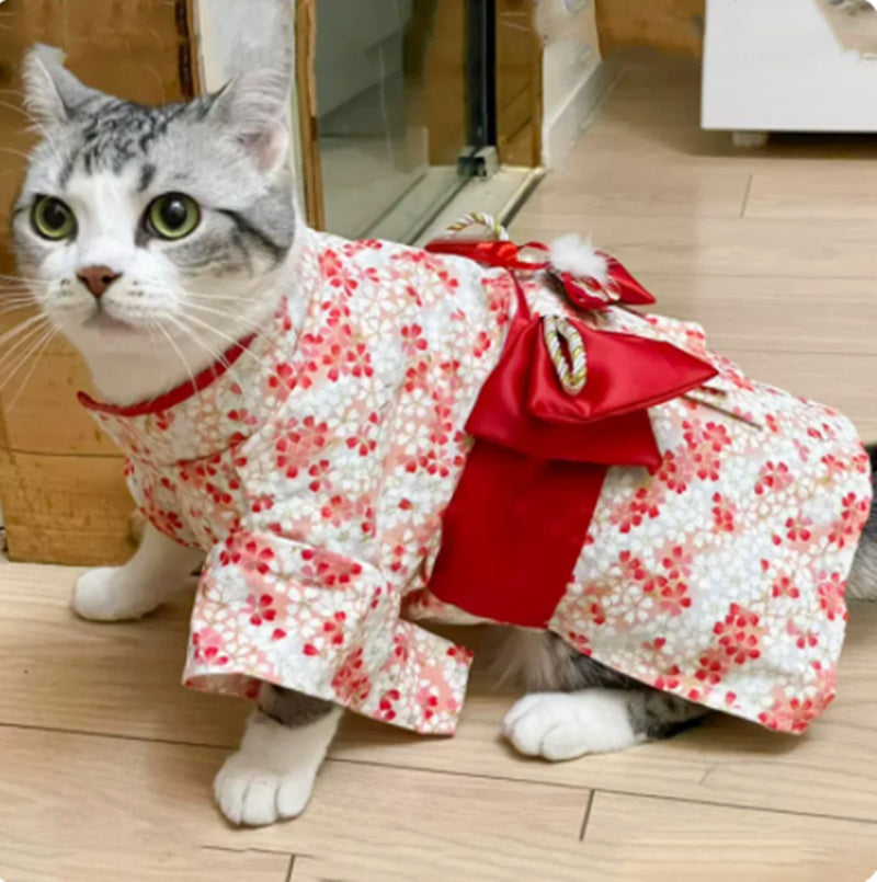 Thin Kimono Hairless Cat Puppet Pet Cat Dress